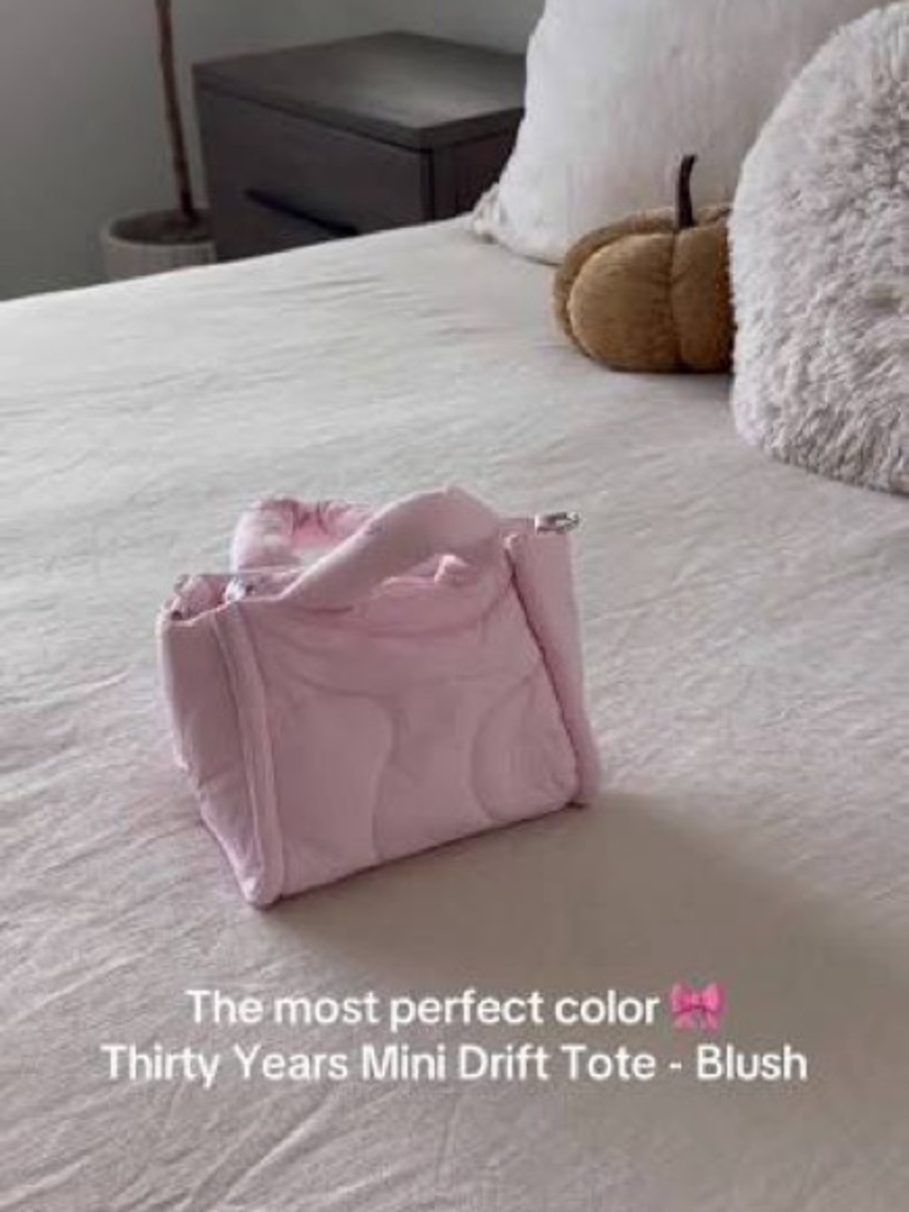 NWT Set of two Thirty Years “The mini drift tote” in Blush and Pink color - Picture 9 of 10